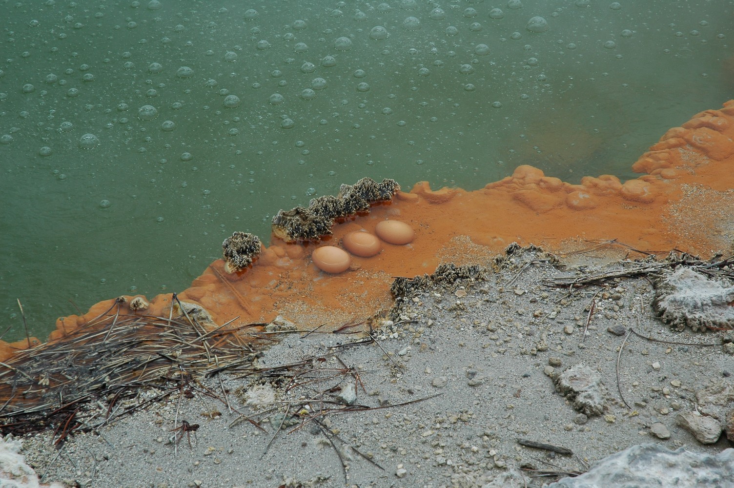 339   03 02   Taupo + omgeving